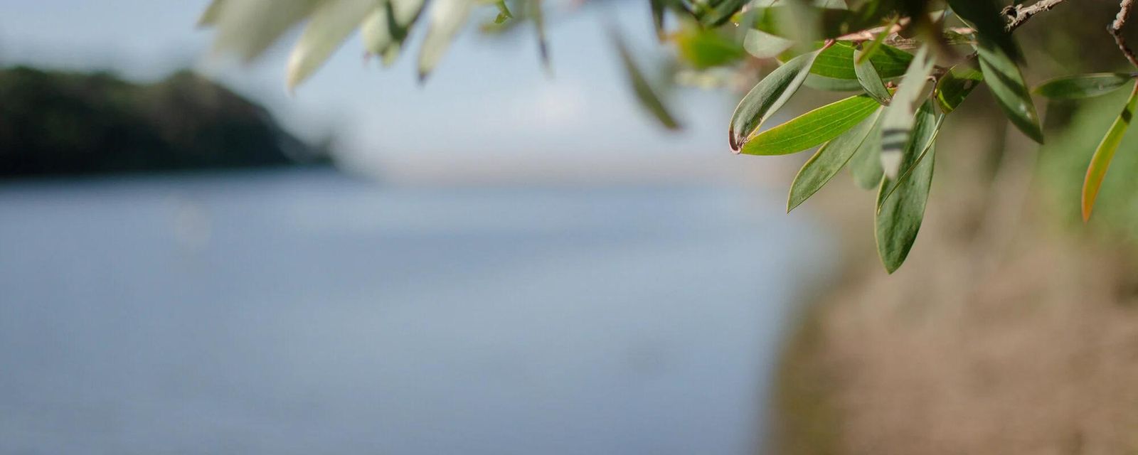 Central Coast