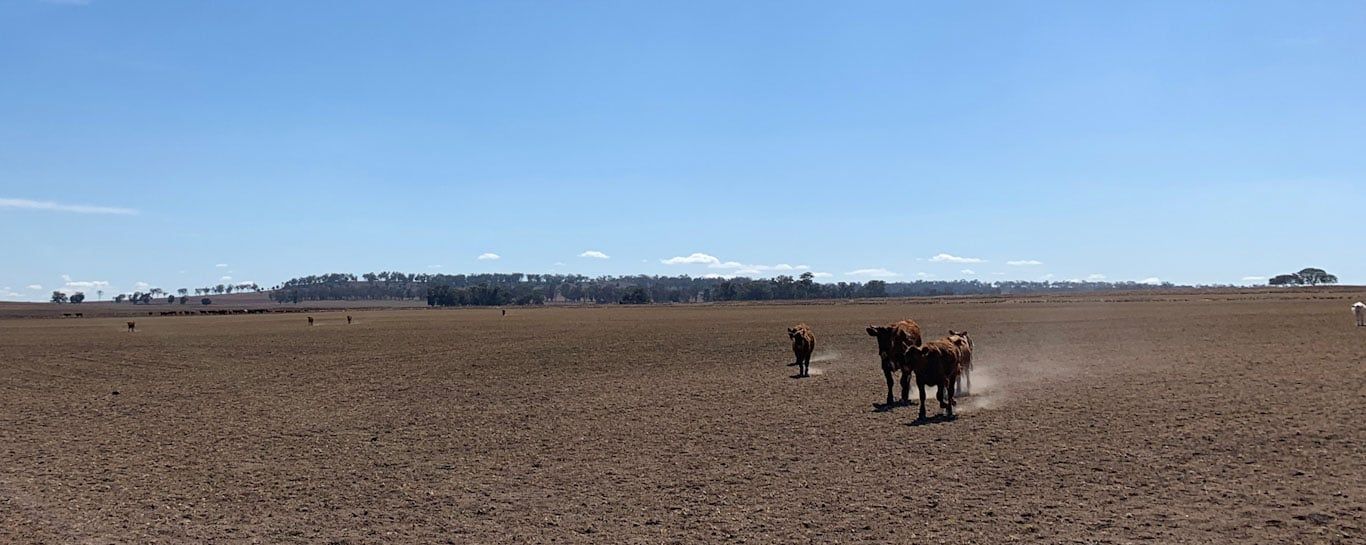 Drought Drive