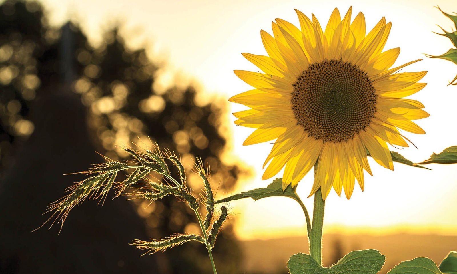 8 jobs to do this summer to maximise your property investment in 2023