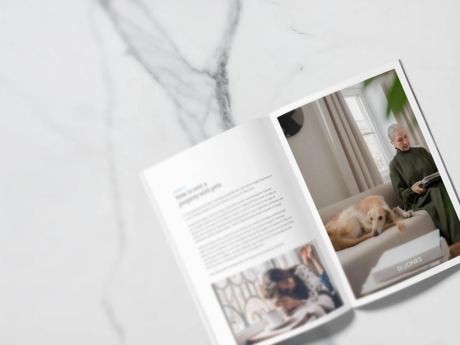 Guide to renting a property in NSW